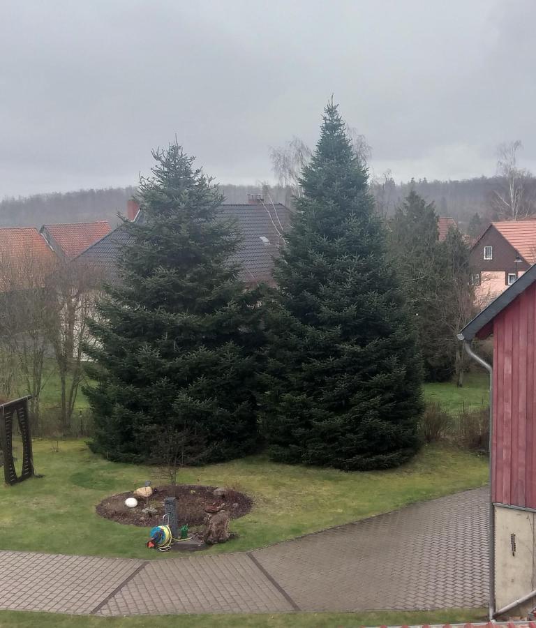 Harzer Bauernhof Apartment Thale Ruang foto